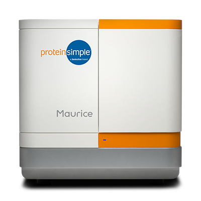 Maurice - Your workhorse station for purity, identity and heterogeneity analysis